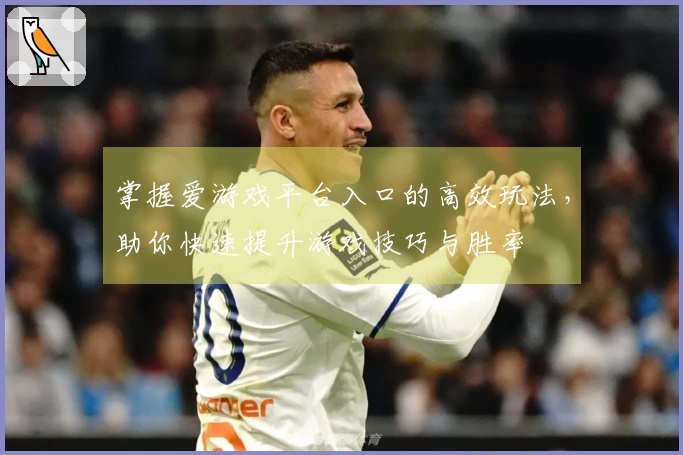 掌握爱游戏平台入口的高效玩法，助你快速提升游戏技巧与胜率